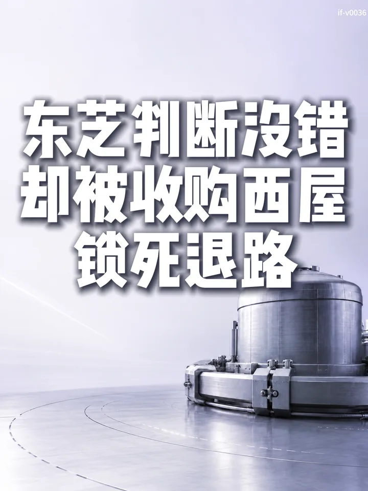 IF-V0036 东芝判断没错，却被收购西屋锁死退路 视频封面